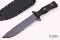 Team Gemini Light Brigade