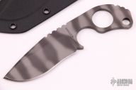 MSC SLCC - Tiger Stripe