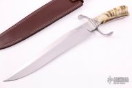 Bowie Fighter - Rams Horn