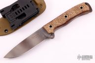 Terror Monkey Mean Street