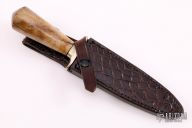 Model 2-5 Boot Knife - Fossilized Wood