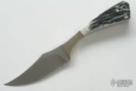 Trailing Point Skinner  - Stag