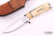 Walrus Ivory Drop Point
