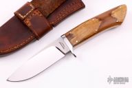 Drop Point Hunter - Mammoth Ivory