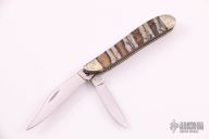 EX220SS Peanut - Mammoth Tooth