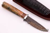 Hunter w/ Birds Eye Damascus 