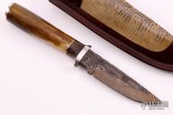 Hunter w/ Zebra and Black Palm 