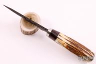Hunter w/ Sambar Stag & Curly Maple