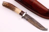 Hunter w/ Smabar Stag & Black Palm 