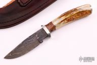 Hunter W/ birds Eye Damascus