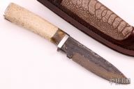 Hunter w/ Walrus Jaw & Buckeye