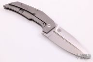 T4000 - Tashi Bharucha