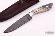 Drop Point  with  Rob Thomas Stainless Damascus
