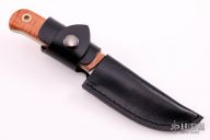 Curly Maple Drop Point