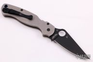 Para 2 w/ Custom Ti Scales