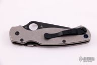 Para 2 w/ Custom Ti Scales