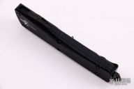 Combat Troodon - Recurve DLC Apocalyptic