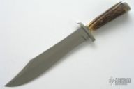 Large Stag Bowie