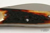 Wharncliffe Seahorse