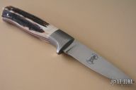 Slim Stag Drop Point Hunter