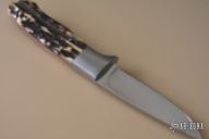 Slim Stag Drop Point Hunter