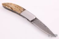 Linerlock w/ Mammoth Tooth