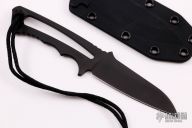 Professional Soldier  