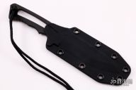 Professional Soldier  