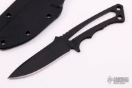 Professional Soldier