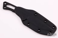 Professional Soldier