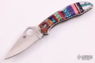 Customized Delica - Brian Yellowhorse  