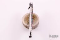 Customized Delica - Brian Yellowhorse  