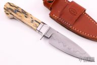 Mammoth Ivory Drop Point