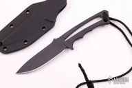 Professional Soldier