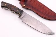 Camp Knife - Maple Burl