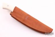 Model #2 Semi-Skinner  