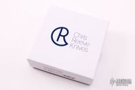 Large Sebenza 21 Plain - Damascus