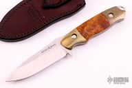 147-1001 Nimravus Cub II - Limited Edition #070