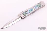 Troodon - Mirror Polished w/ Abalone