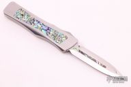 Troodon - Mirror Polished w/ Abalone