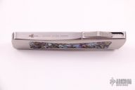 Troodon - Mirror Polished w/ Abalone