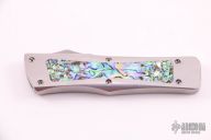 Troodon - Mirror Polished w/ Abalone