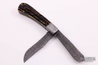 Two-Blade Trapper - Damascus and Stag