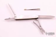 Lobster - MOP and Gold