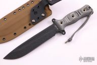 Team Gemini Light Brigade