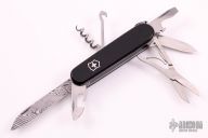 2011 Damascus Limited Edition Climber  