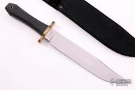  Australian Utility Bowie