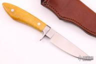 Fisk Sendero #37/500