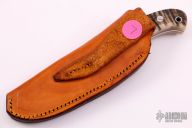 Johnson Short Hunter - Big Horn Sheep