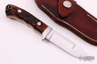 Small Pro Hunter - Amber Stag